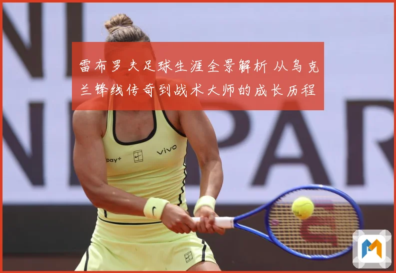 雷布罗夫足球生涯全景解析 从乌克兰锋线传奇到战术大师的成长历程-深度解析