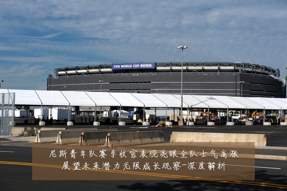 尼斯青年队赛季收官表现亮眼全队士气高涨展望未来潜力无限成长观察-深度解析